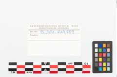 Etikett zu Eisenkonvolut (NHMW-PRAE-094301)